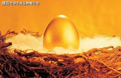 前途无量,探索无限可能的人生篇章